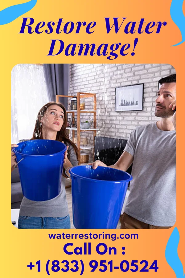 water restoration Rapid Water Removal Brothers Pastura