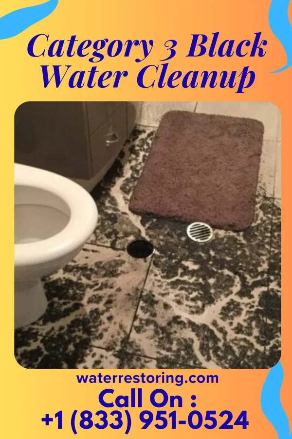 Category 3 Black Water Cleanup in Pastura, NM