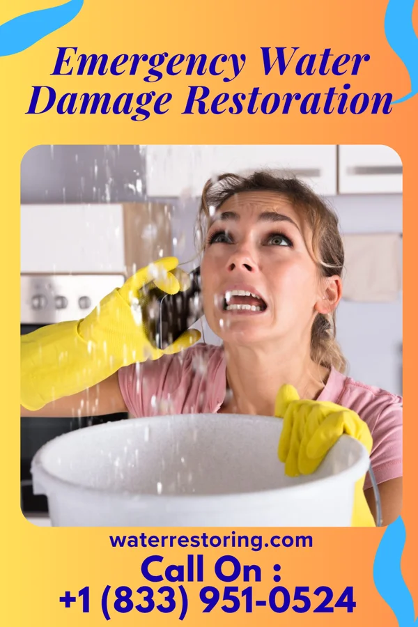 Emergency Water Damage Restoration in Pastura, NM
