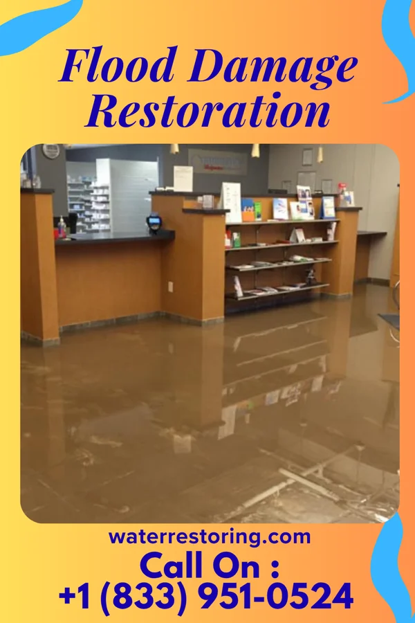 Flood Damage Restoration in Pastura, NM