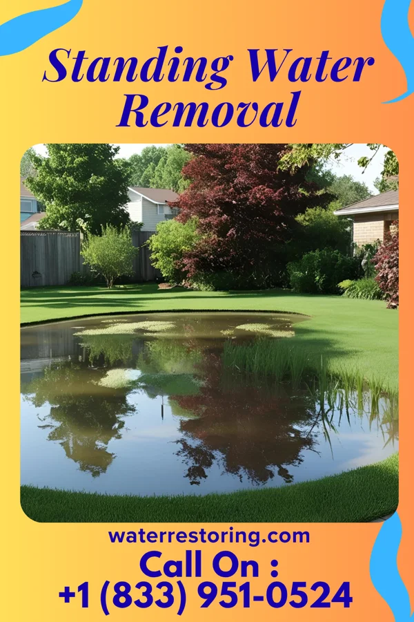Standing Water Removal in Pastura, NM